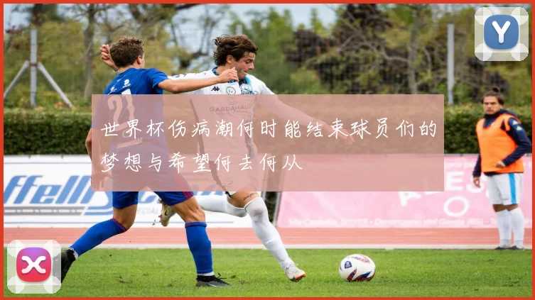 世界杯伤病潮何时能结束球员们的梦想与希望何去何从