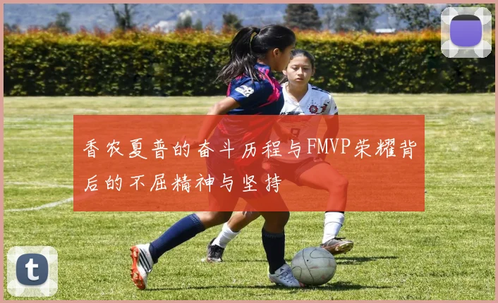 香农夏普的奋斗历程与FMVP荣耀背后的不屈精神与坚持