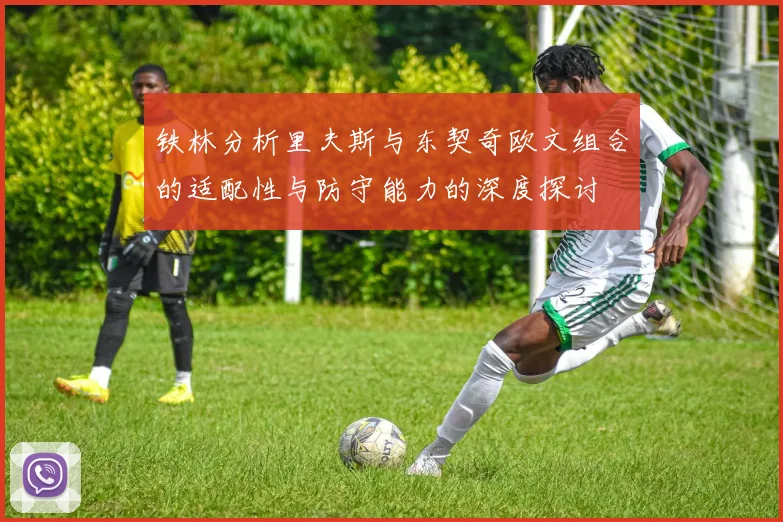 铁林分析里夫斯与东契奇欧文组合的适配性与防守能力的深度探讨