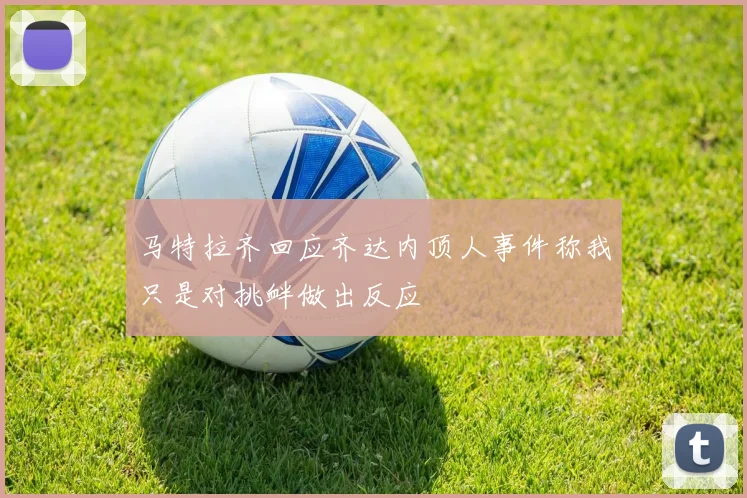 马特拉齐回应齐达内顶人事件称我只是对挑衅做出反应